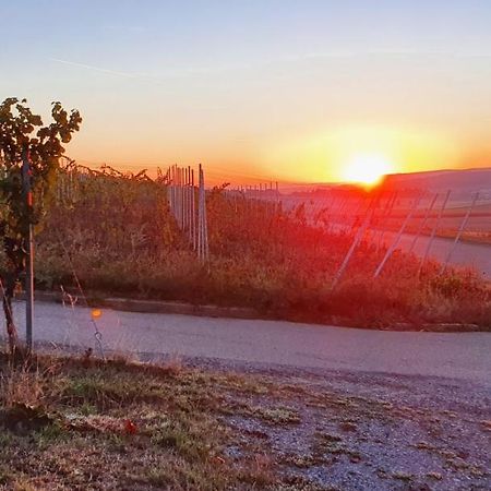Weingut Will Und Wuerz Lemberger Apartment Schwaigern ภายนอก รูปภาพ