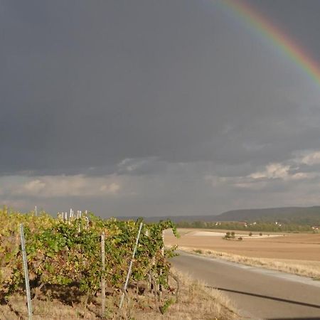 Weingut Will Und Wuerz Lemberger Apartment Schwaigern ภายนอก รูปภาพ
