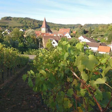 Weingut Will Und Wuerz Lemberger Apartment Schwaigern ภายนอก รูปภาพ