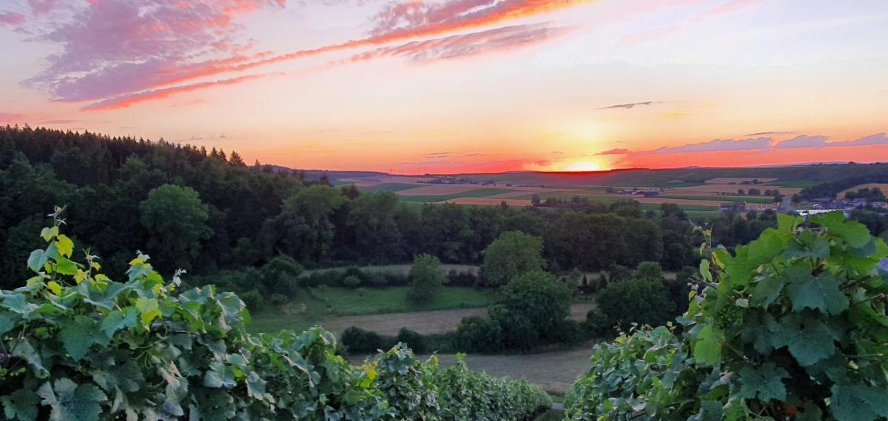 Weingut Will Und Wuerz Lemberger Apartment Schwaigern ภายนอก รูปภาพ