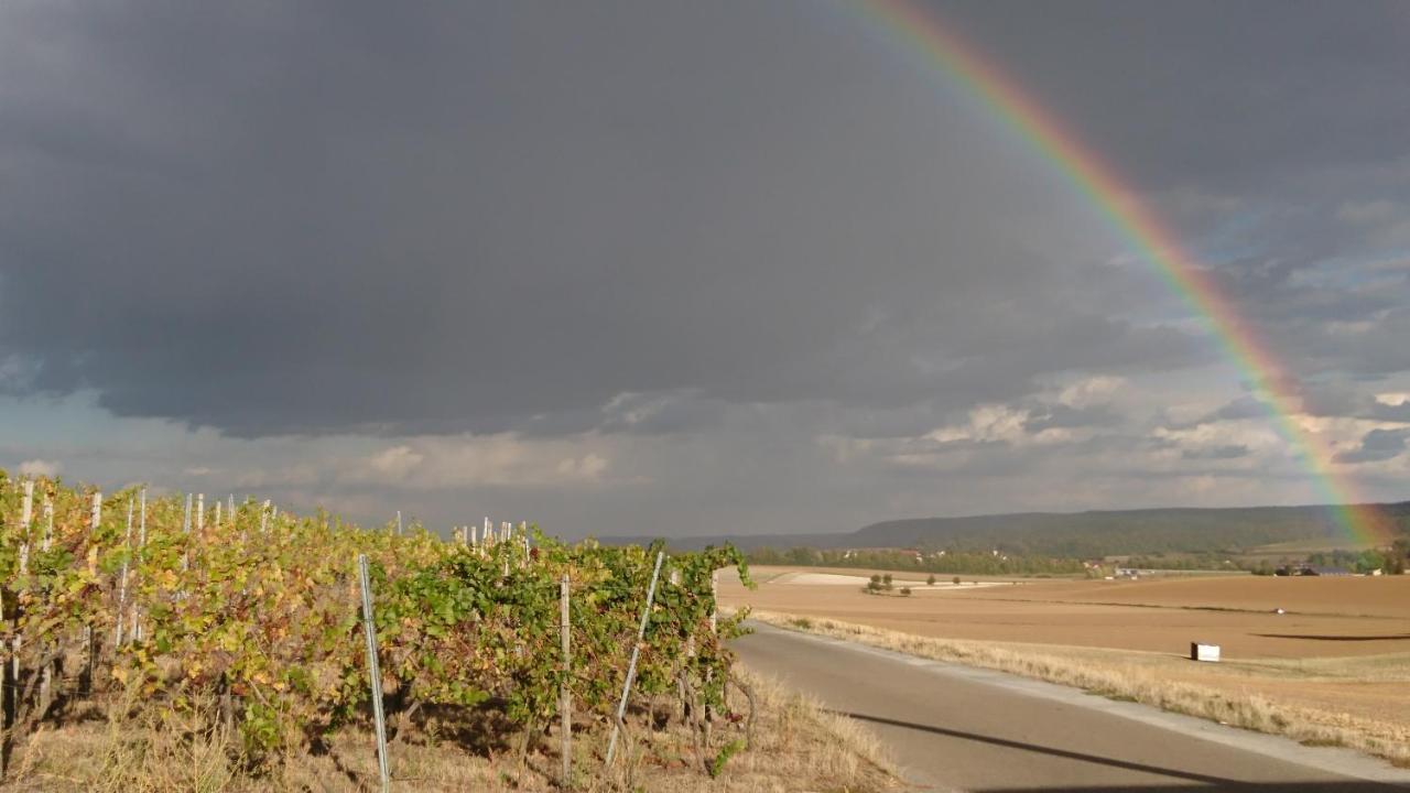 Weingut Will Und Wuerz Lemberger Apartment Schwaigern ภายนอก รูปภาพ
