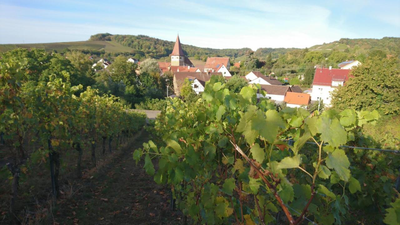 Weingut Will Und Wuerz Lemberger Apartment Schwaigern ภายนอก รูปภาพ